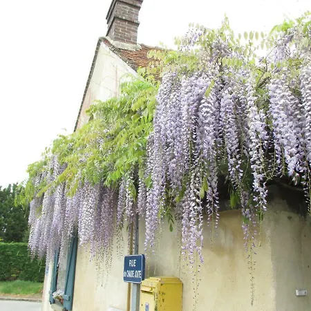 Lily Dannemarie (Yvelines)